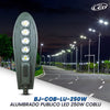 ALUMBRADO PUBLICO LED COB